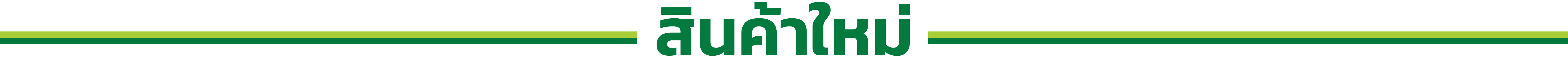 สินค้าใหม่